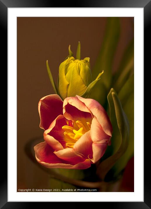 Classical Tulips Framed Mounted Print by Kasia Design