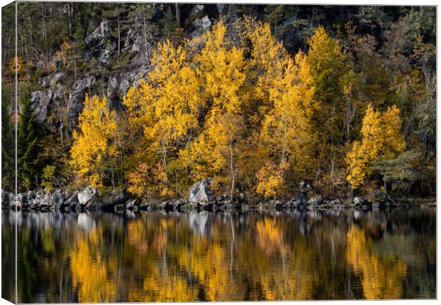 Autumn Reflections in The Lake Canvas Print by Eirik Sørstrømmen