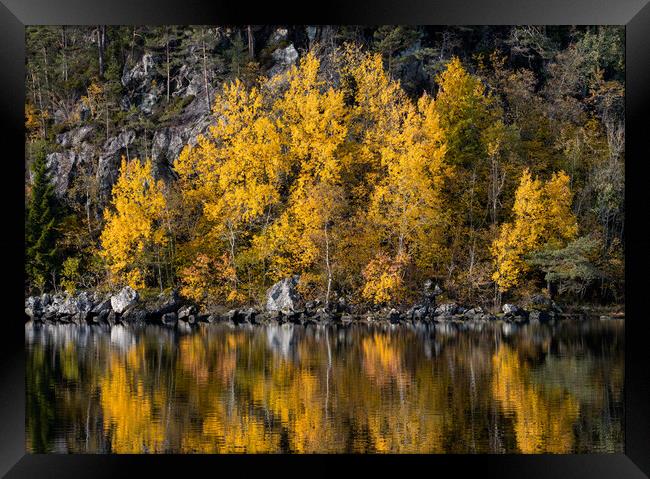 Autumn Reflections in The Lake Framed Print by Eirik Sørstrømmen