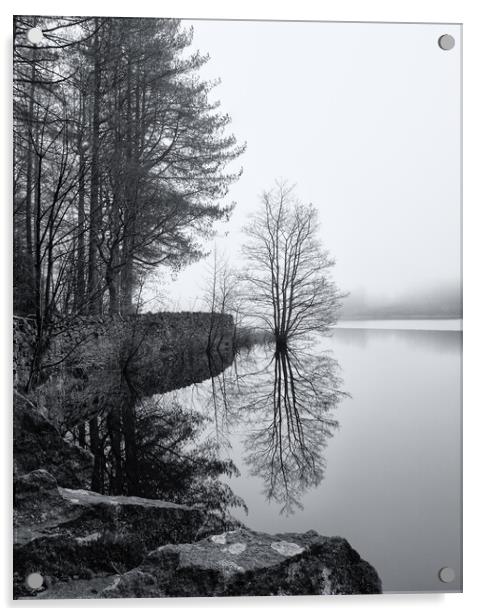 Entwistle Reservoir Bolton Acrylic by Phil Durkin DPAGB BPE4