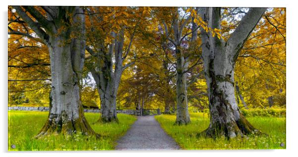 A Tree Alleyway in The Autumn Acrylic by Eirik Sørstrømmen