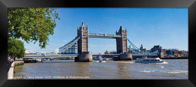 Tower Bridge viewed from the Tower of London Framed Print by Terry Senior