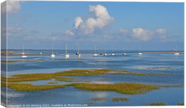 New Forest Yachts Canvas Print by Ed Whiting