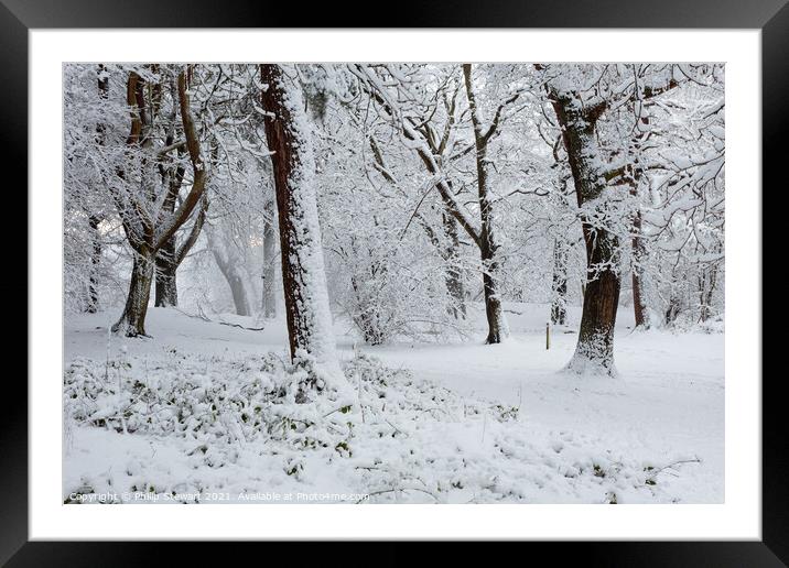 Winter Wonderland Framed Mounted Print by Philip Stewart