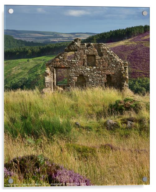 Stone Cottage Ruin on Cairn O'Mount Road  Acrylic by Bernard Rose Photography