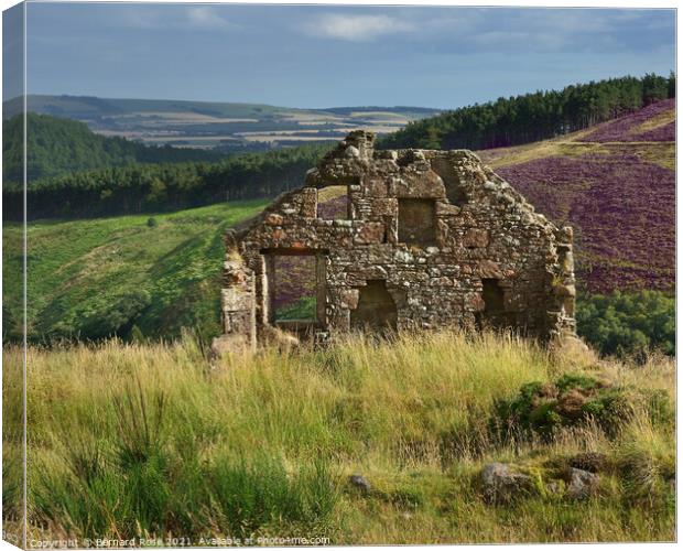 Stone Cottage Ruin on Cairn O'Mount Road  Canvas Print by Bernard Rose Photography