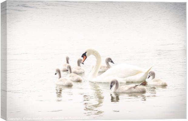 Mute Swan with Young In High-key Image Canvas Print by Ken Hunter