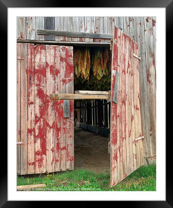 Rustic Charm Tobacco Barns Secret Framed Mounted Print by Deanne Flouton