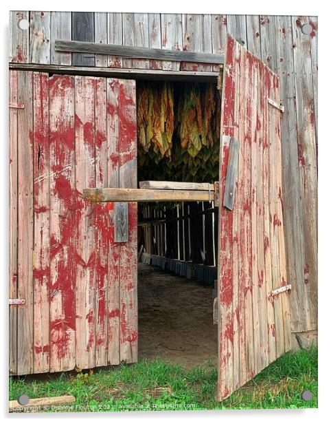 Rustic Charm Tobacco Barns Secret Acrylic by Deanne Flouton