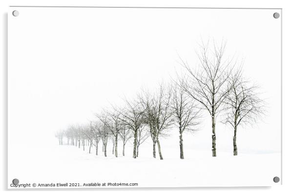 Tree Line In Snow Acrylic by Amanda Elwell