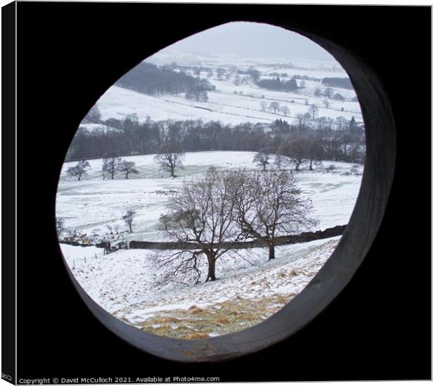 Winter view from the atom  Canvas Print by David McCulloch