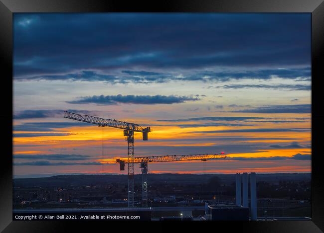 Cranes at Sunset Framed Print by Allan Bell