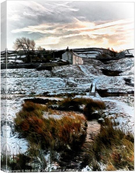 "Snowy Weardale" Canvas Print by ROS RIDLEY