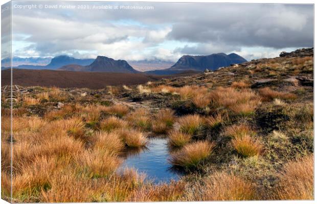 Suilven, Stac Pollaidh and Cull Mor, Highland, Scotland Canvas Print by David Forster