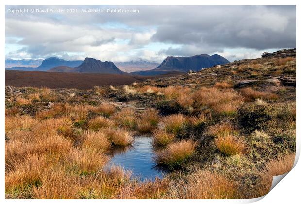 Suilven, Stac Pollaidh and Cull Mor, Highland, Scotland Print by David Forster