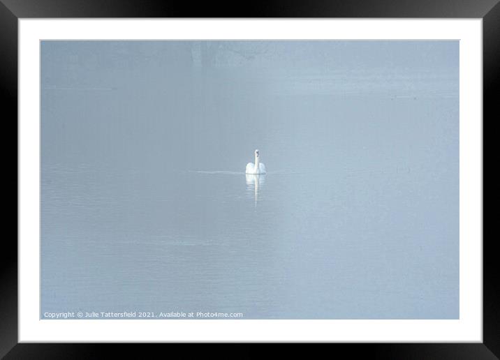 A Swan gliding through the mist Framed Mounted Print by Julie Tattersfield
