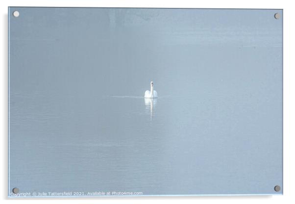 A Swan gliding through the mist Acrylic by Julie Tattersfield