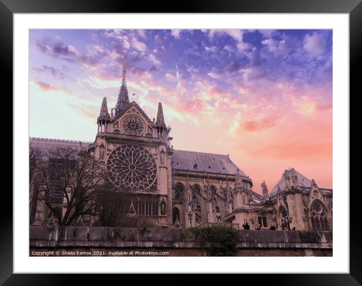 Notre Dame Cathedral, Rose Window, Paris, France. Framed Mounted Print by Sheila Eames