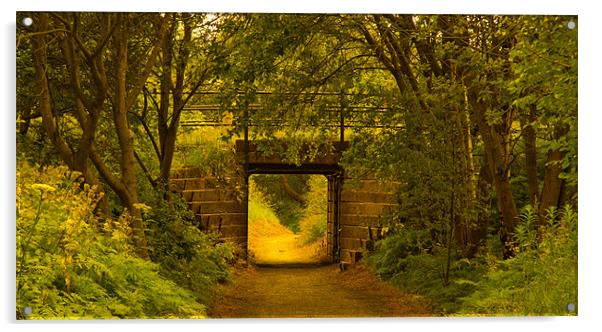The little bridge Acrylic by Northeast Images
