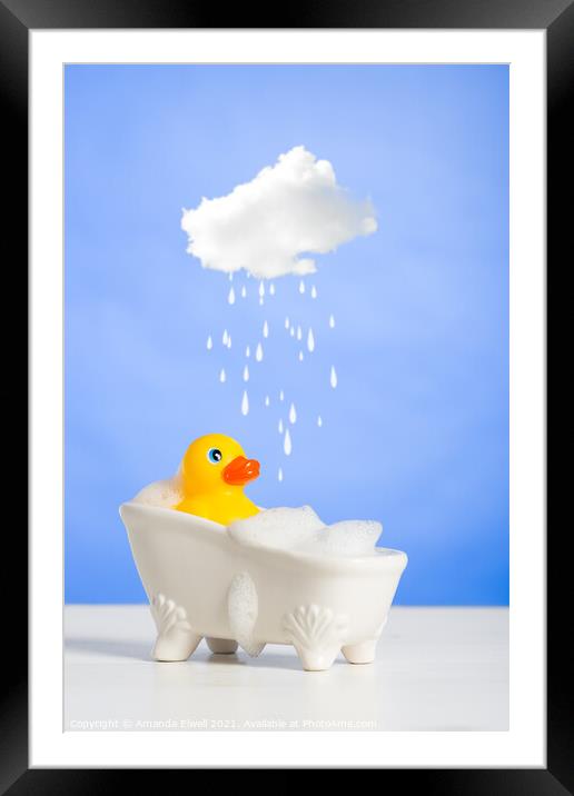 Duck Having A Bath Framed Mounted Print by Amanda Elwell