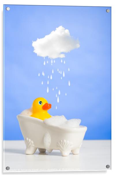 Duck Having A Bath Acrylic by Amanda Elwell