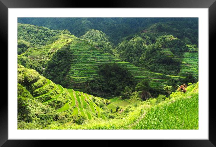 Banaue Rice Terrice Framed Mounted Print by Clive Eariss