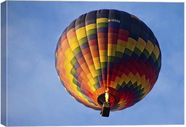 Up And Away Canvas Print by Lynne Morris (Lswpp)