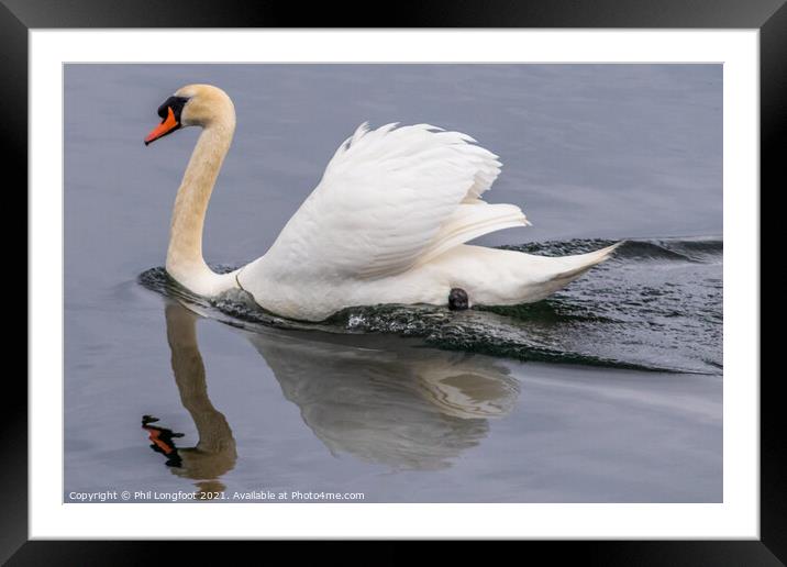 Swan Lake  Framed Mounted Print by Phil Longfoot