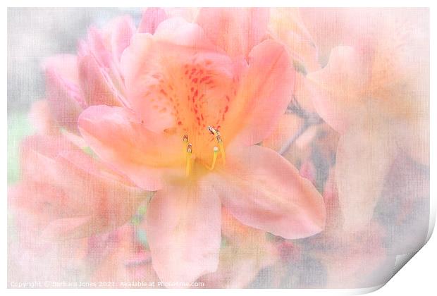 Azalea Flower in Spring Print by Barbara Jones