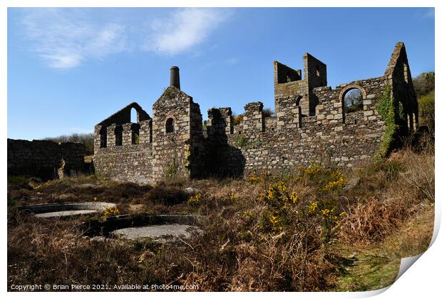 North Wheal Basset Mine Print by Brian Pierce