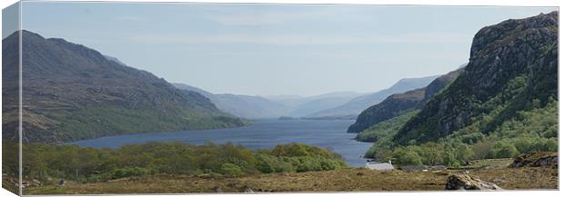 Looking Down Loch Maree, Highlands of Scotland Canvas Print by Jenny Brogden