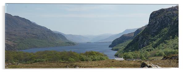 Looking Down Loch Maree, Highlands of Scotland Acrylic by Jenny Brogden