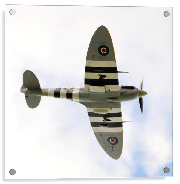 Spitfire in Flight Acrylic by Paul M Baxter