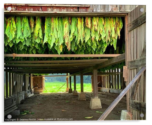 The Essence of Tobacco Farming Acrylic by Deanne Flouton