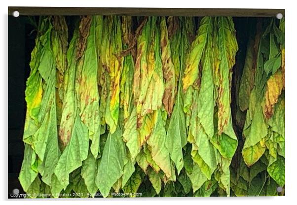 Tobacco Curing in Massachusetts Barn Acrylic by Deanne Flouton