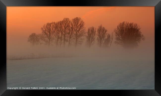 Trees in freezing mist, Norfolk, UK Framed Print by Geraint Tellem ARPS