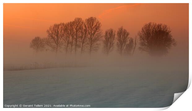 Trees in freezing mist, Norfolk, UK Print by Geraint Tellem ARPS
