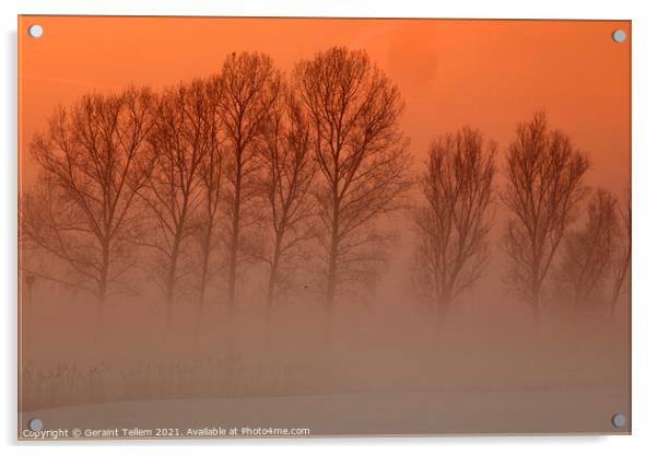 Trees in freezing mist, Norfolk, UK Acrylic by Geraint Tellem ARPS