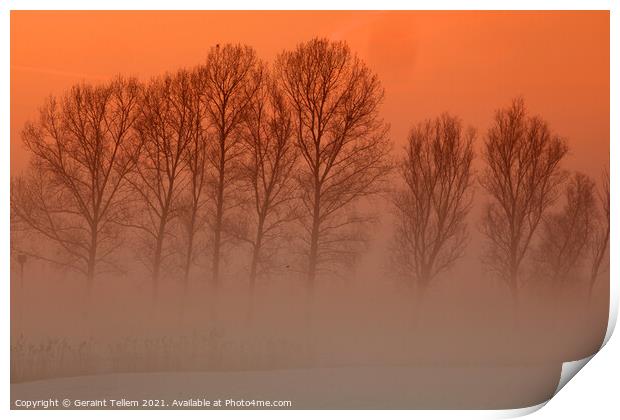 Trees in freezing mist, Norfolk, UK Print by Geraint Tellem ARPS