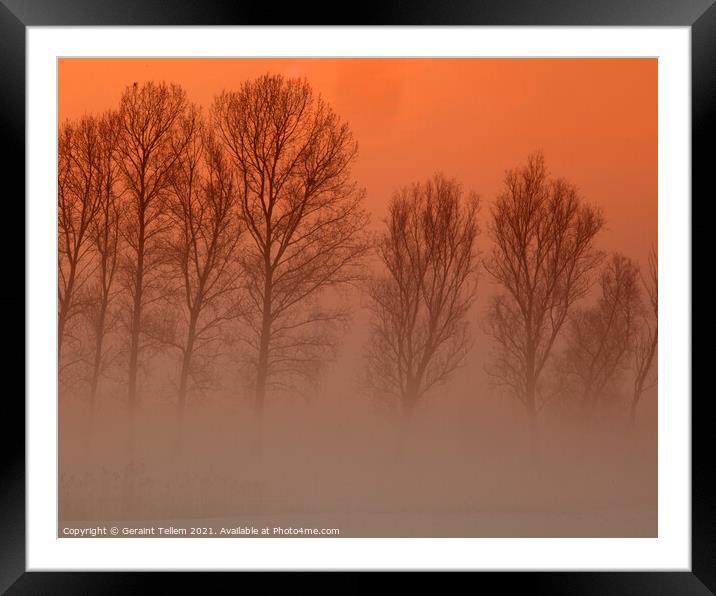 Trees in freezing mist, Norfolk, UK, Framed Mounted Print by Geraint Tellem ARPS