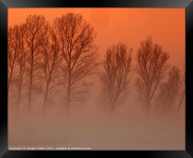 Trees in freezing mist, Norfolk, UK, Framed Print by Geraint Tellem ARPS