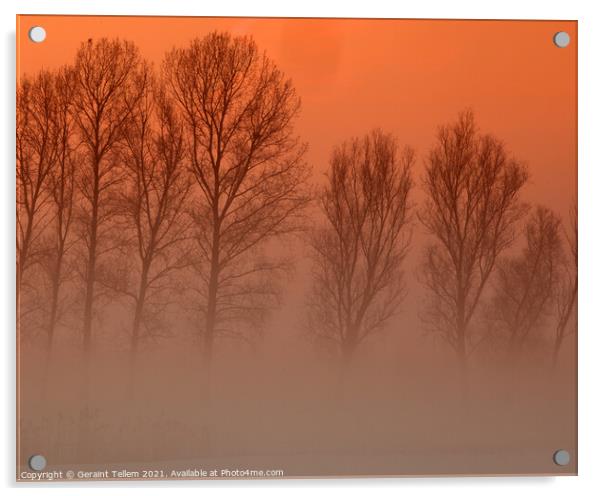 Trees in freezing mist, Norfolk, UK, Acrylic by Geraint Tellem ARPS