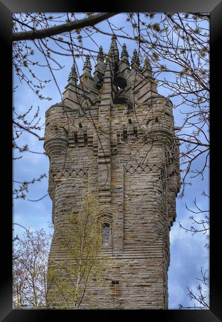 The Wallace Monument Stirling Scotland  Framed Print by Jacqui Farrell