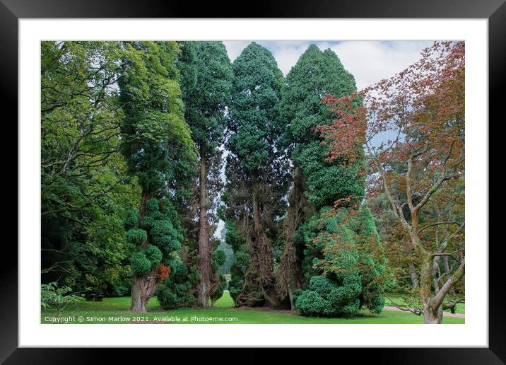 Westonbirt Arboretum Framed Mounted Print by Simon Marlow