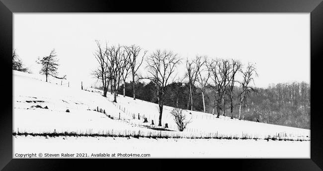 Trees in Snow, 3, Wisconsin, USA Framed Print by Steven Ralser