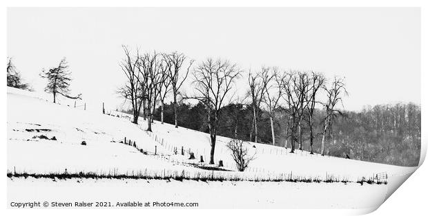Trees in Snow, 3, Wisconsin, USA Print by Steven Ralser