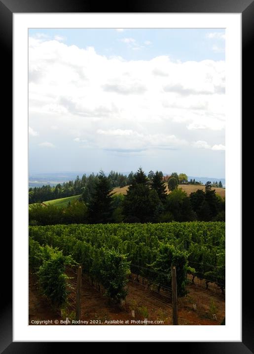 Oregon Vineyard 2 Framed Mounted Print by Beth Rodney