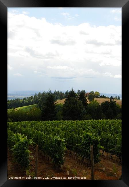 Oregon Vineyard 2 Framed Print by Beth Rodney