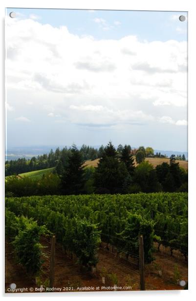 Oregon Vineyard 2 Acrylic by Beth Rodney