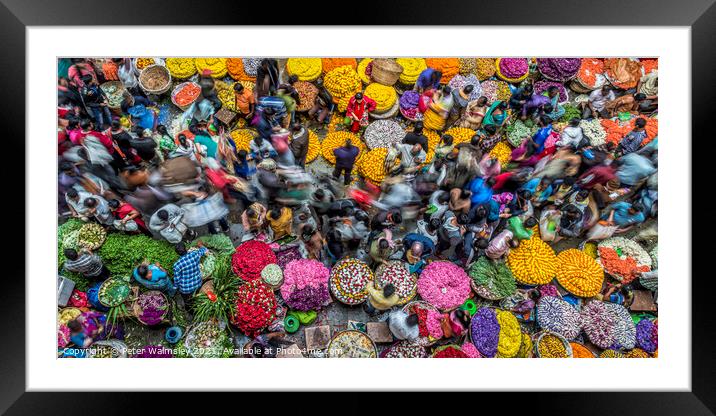 Flower Power Framed Mounted Print by Peter Walmsley